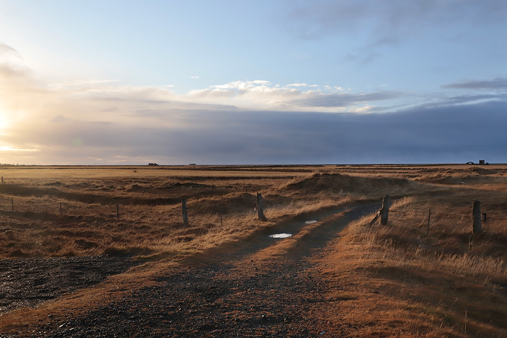Photographie de paysage en Islande : chemin de terre traversant une plaine d'herbes dorées sous un ciel nuageux et lumineux, photographie de voyage par Well Com Studio Graphique à Albi.