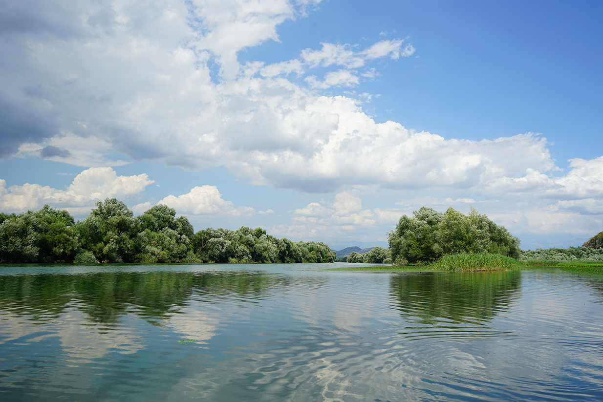 Vue immersive depuis une barque sur les eaux calmes du Lac Skadar au Monténégro, ciel bleu nuageux et rives verdoyantes, photographie de nature par Well Com Studio Graphique à Albi.