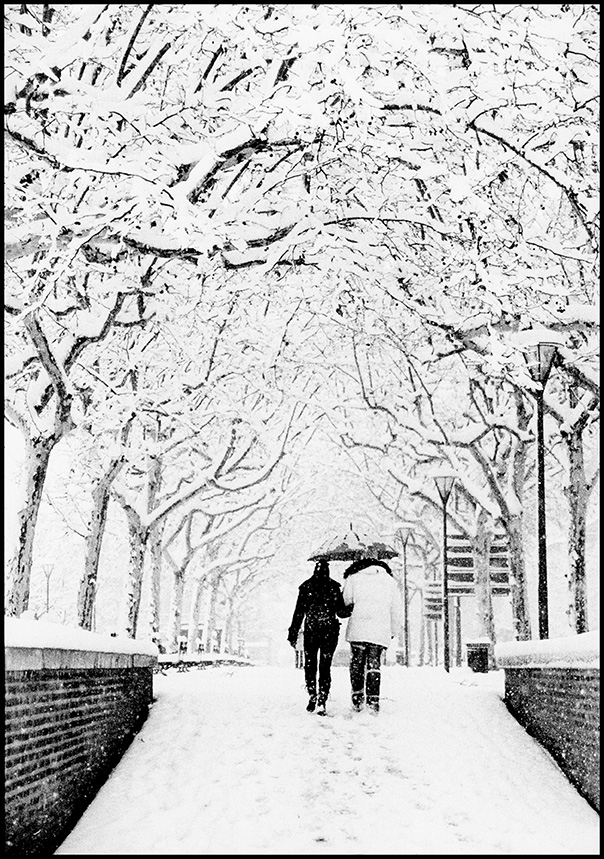 Photographie argentique noir et blanc de deux personnes marchant sous la neige dans une allée d'arbres givrés vers la Place du Vigan, paysage urbain hivernal par Well Com Studio Graphique à Albi.