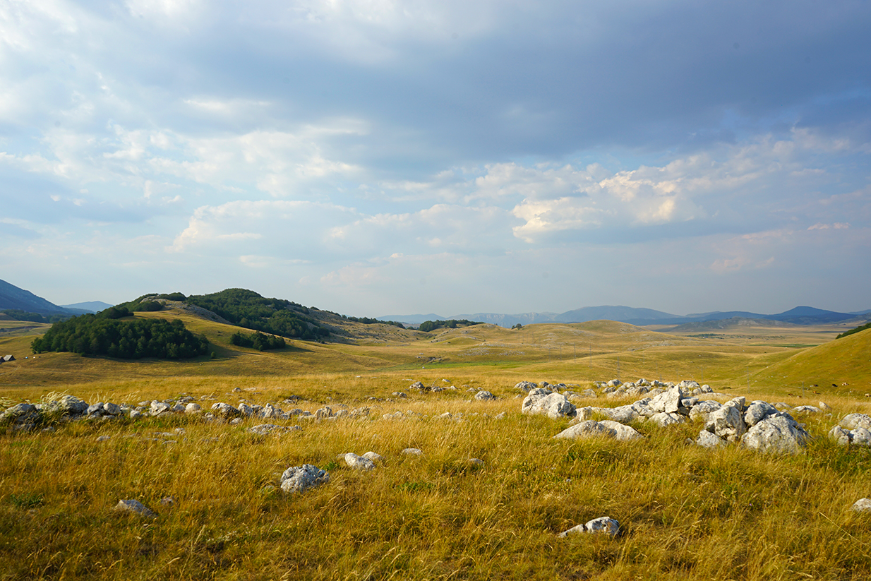 Vue du plateau des lacs au Monténégro : contraste entre les herbes dorées et les montagnes en arrière-plan. Photographie de paysage et inspiration couleur par Well Com Studio Graphique à Albi.